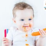 Deliciosas opciones de comidas para bebés de 1 año y medio