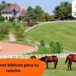 Nombres bíblicos para tu rancho